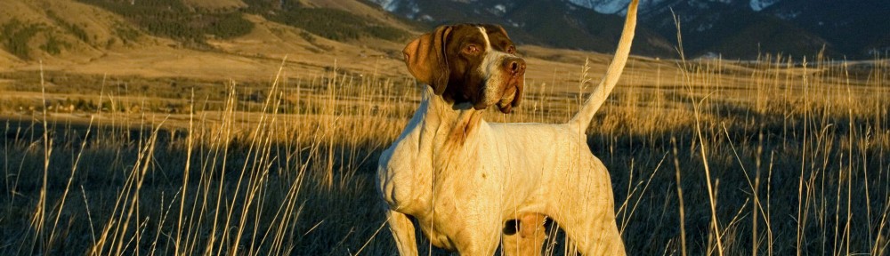 Federcaccia Giovani Terni