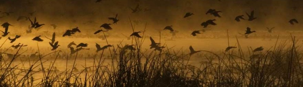 Federcaccia Giovani Terni